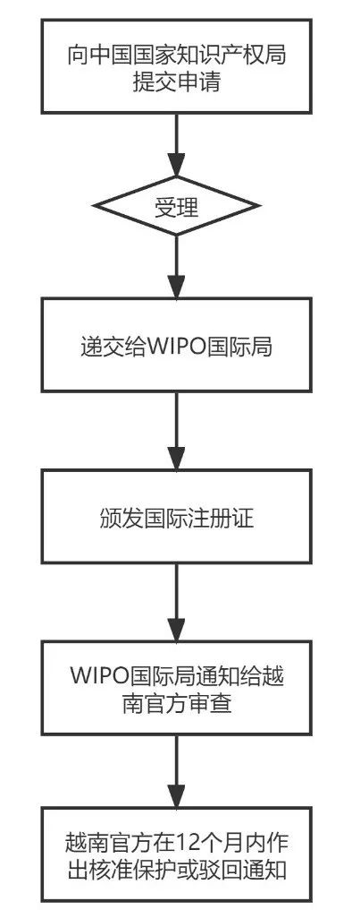 如何在国外进行域名注册？具体步骤是什么？