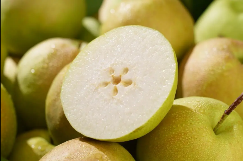 知识产权环球资讯 | AI代理首案：美法院叫停Perplexity AI访问亚马逊；山梨与贡梨商标在英胜诉；实际使用变形可作为商标近似判断依据