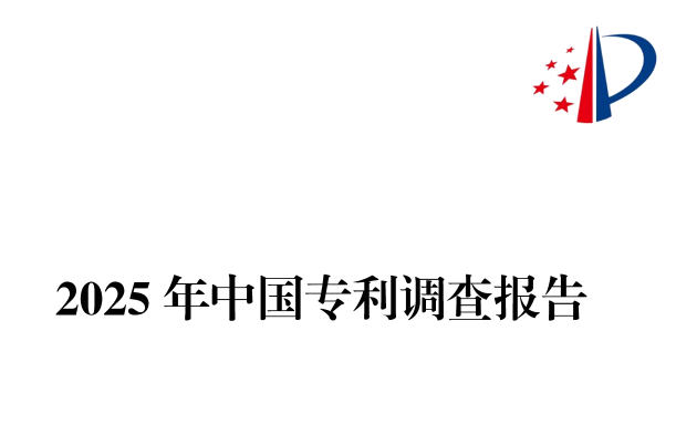 专利律师必读！《2025年中国专利调查报告》全文正式发布
