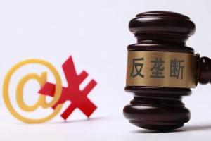 相关技术市场的界定以及市场力量的认定