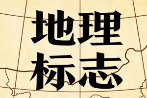 特某茶餐饮管理（上海）有限公司与上海浦东知识产权局、上海浦东人民政府等罚款及行政复议案